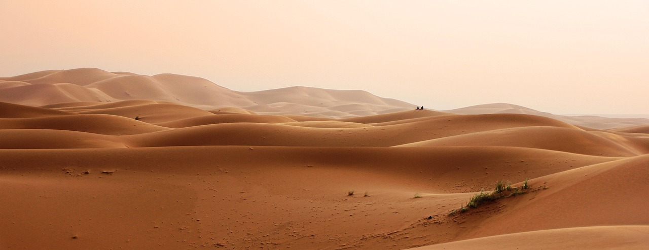 A camel caravan moving across the vast Moroccan Sands at sunset