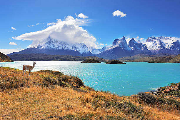 A massive, jagged Patagonian Chill mountain peak with a glacier in the foreground